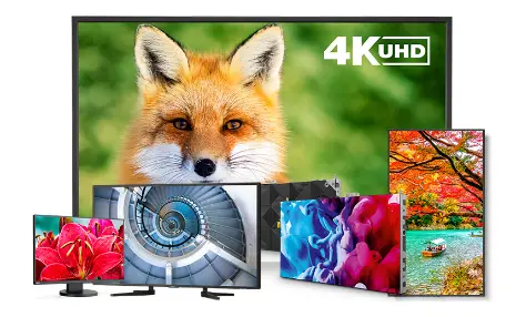 Sharp and NEC displays